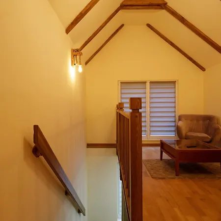 Apartament The Cozy Nook - Ultra Brașov